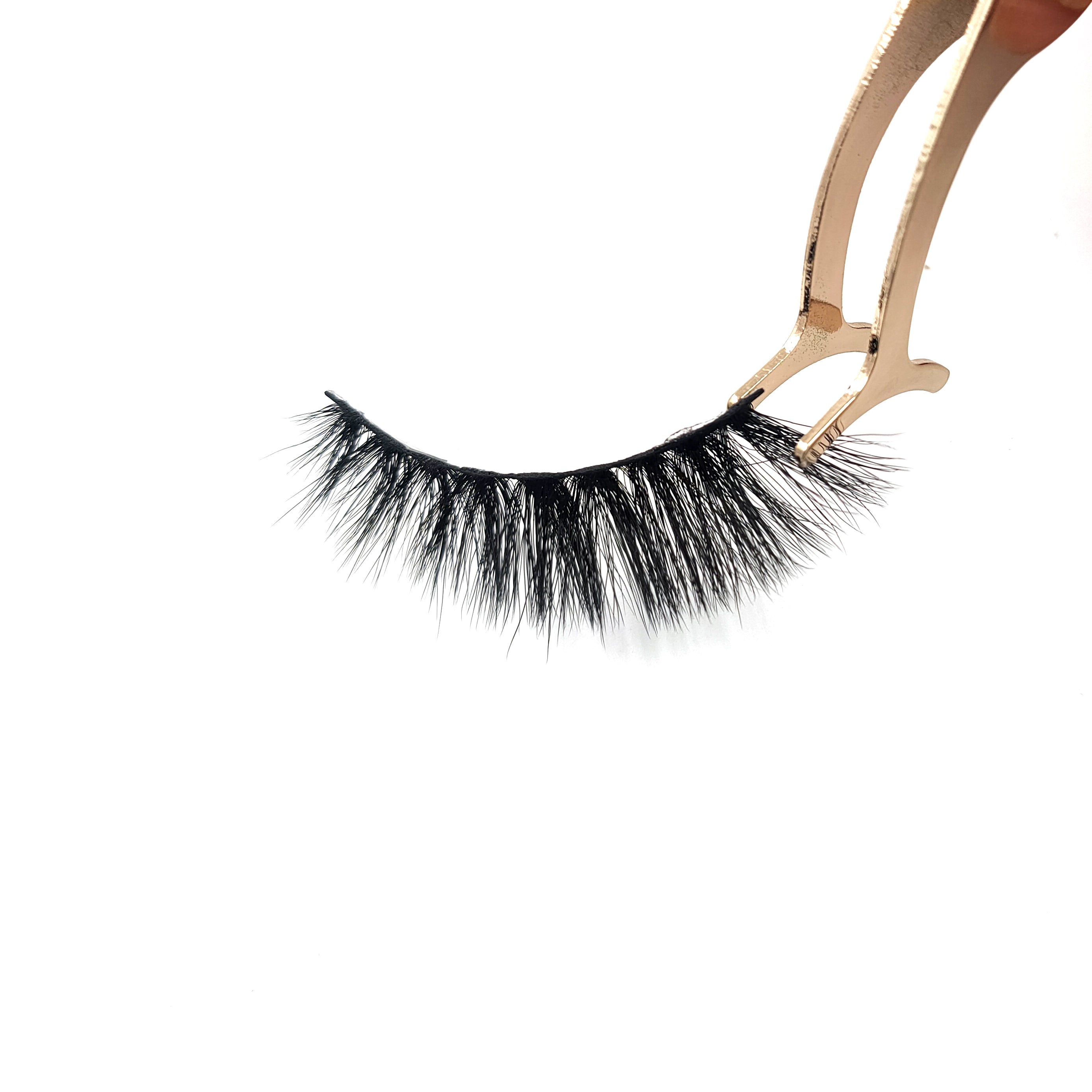 The ΔΣΘ Suzanne 5D Lash