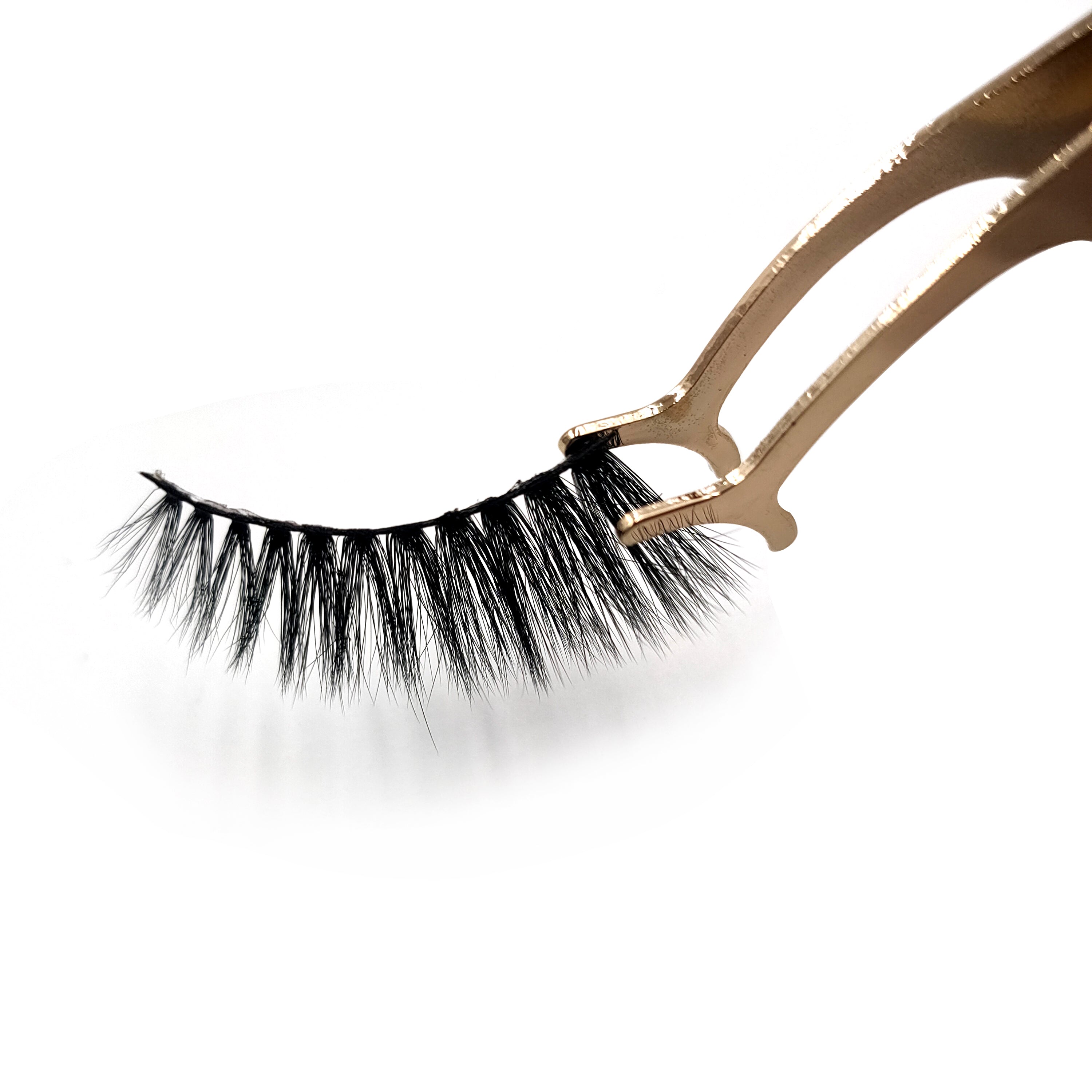 The ΔΣΘ Angela 5D Lash