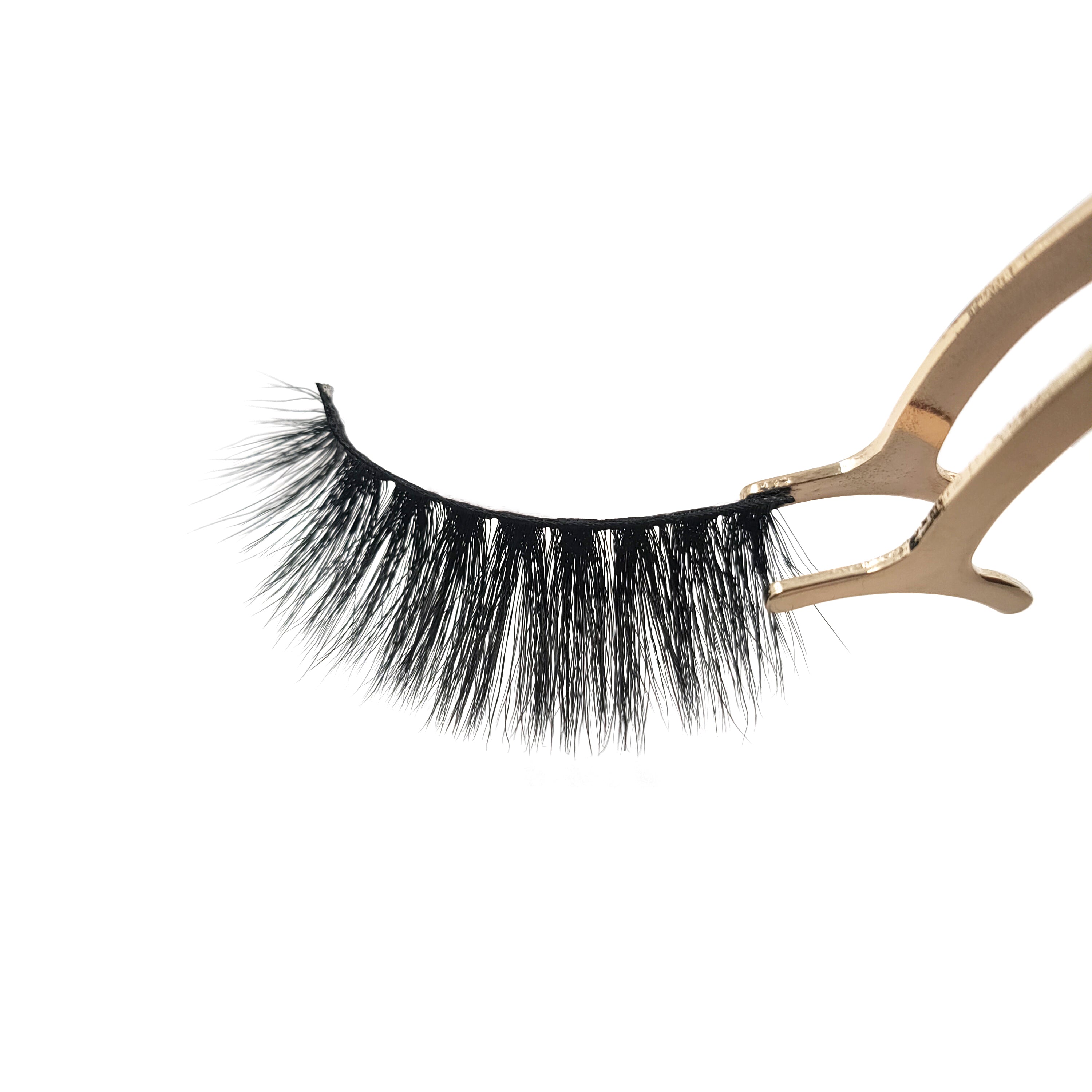 The LDL Cathy 5D Lash