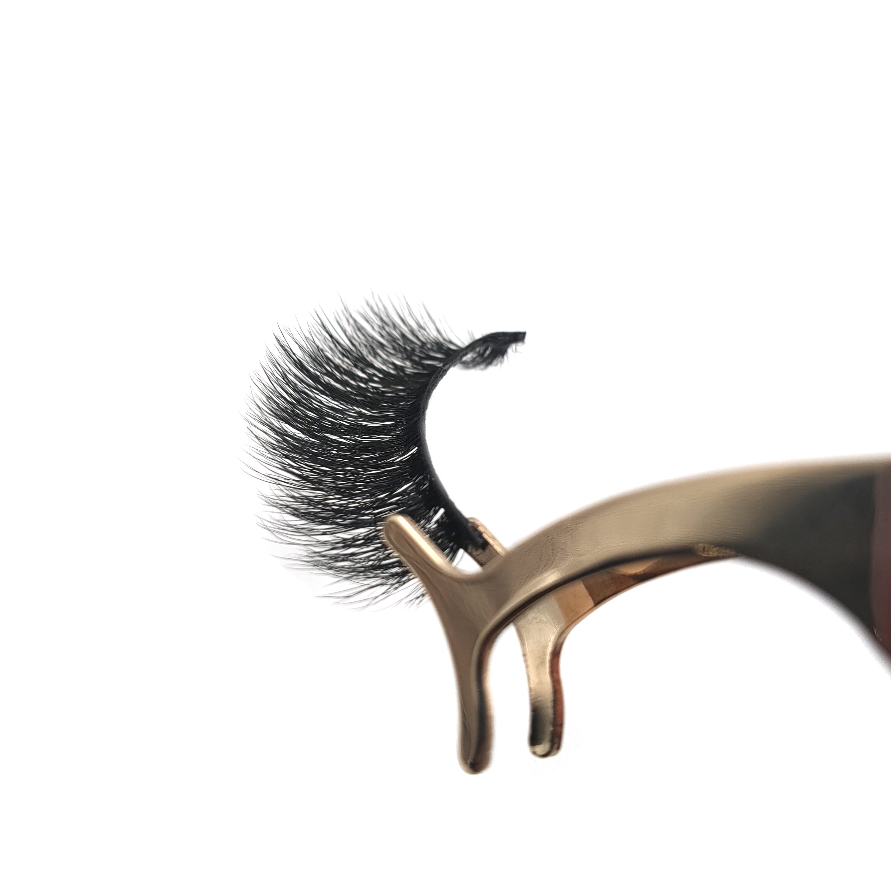 The LDL Cathy 5D Lash