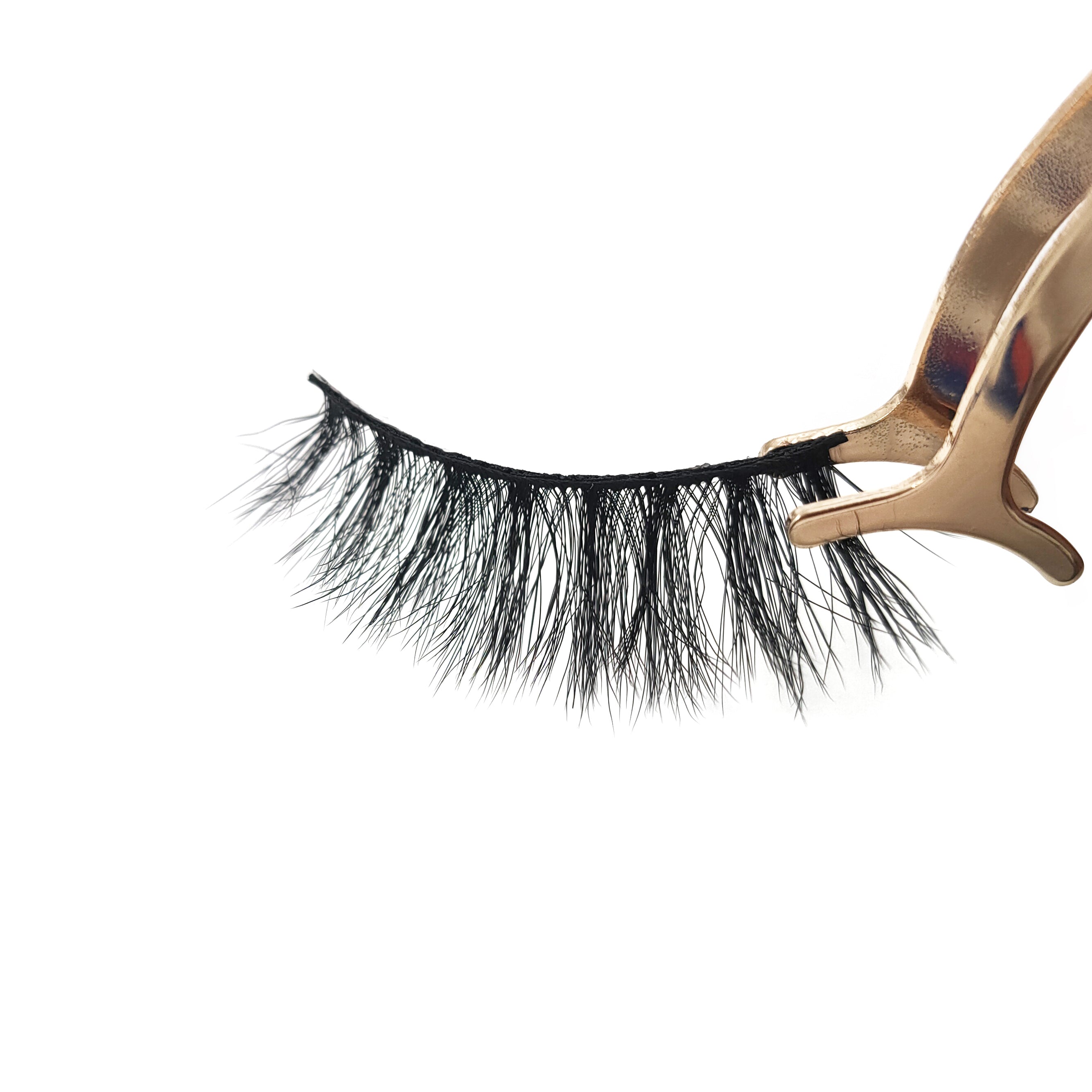 The LDL Morgan 5D Lash
